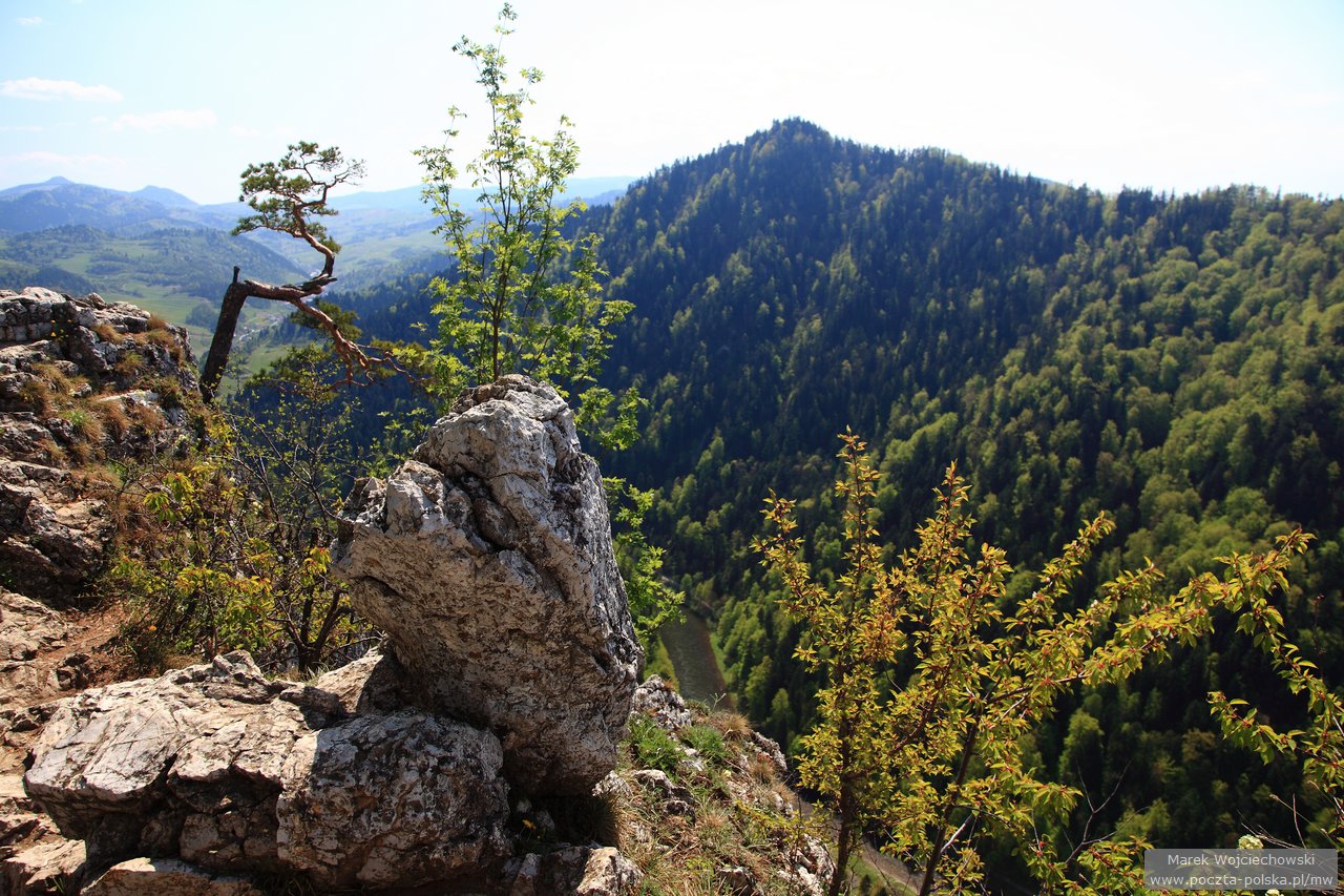 Pieniny - Sokolica
